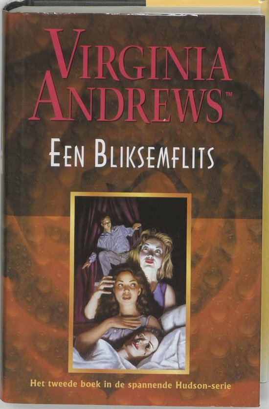 Bliksemflits Hudson Dl2 — boekomslag