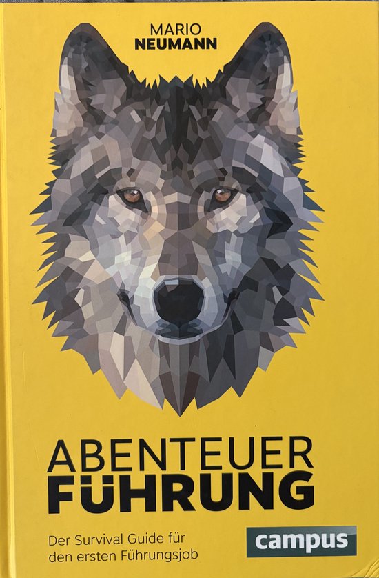 Abenteuer Führung — boekomslag