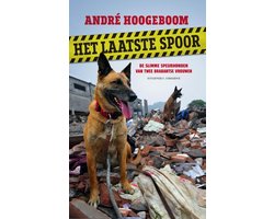 Het laatste spoor