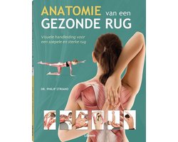 Anatomie van een gezonde rug