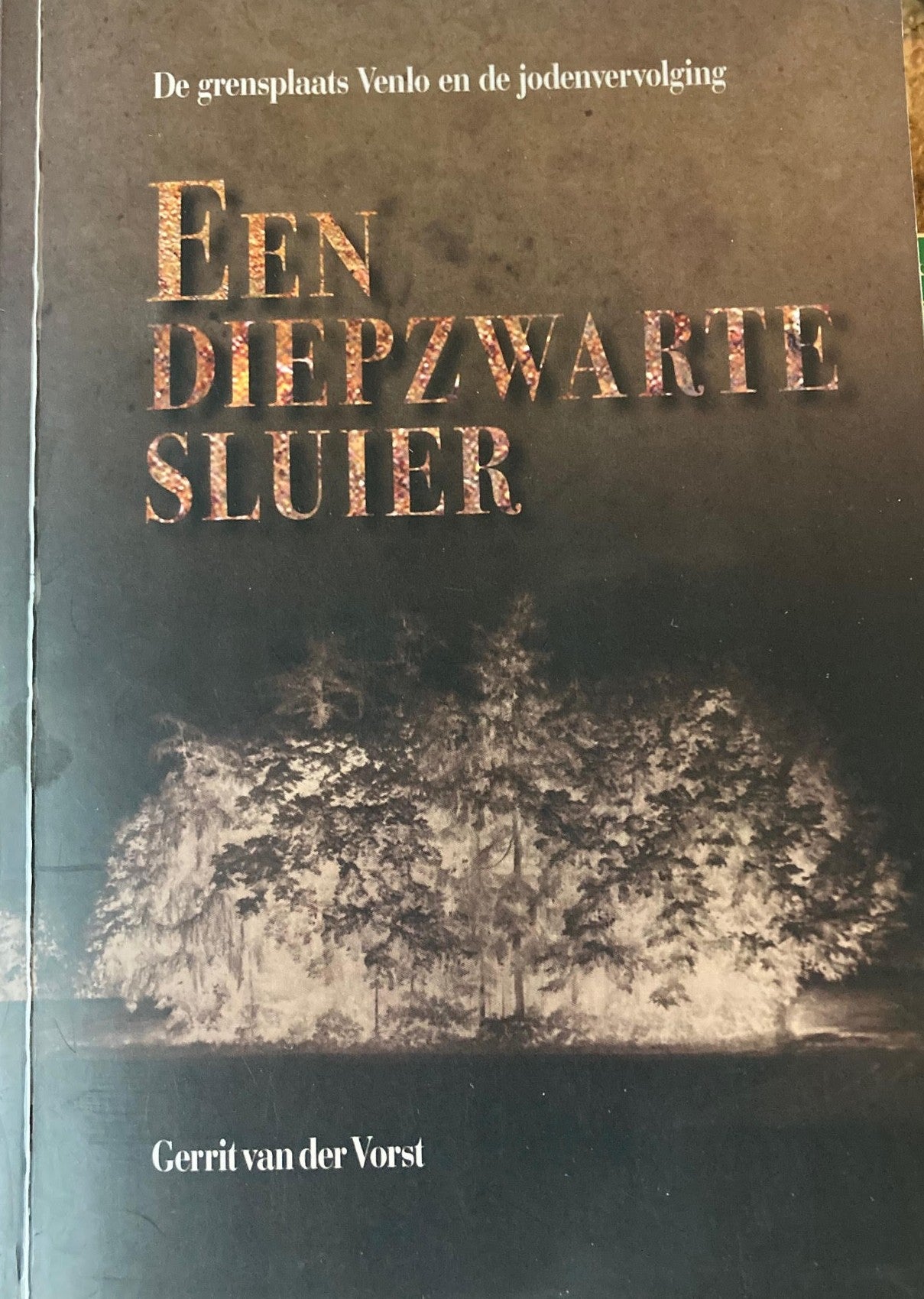 Een diep zwarte sluier - Gerrit van der Vorst