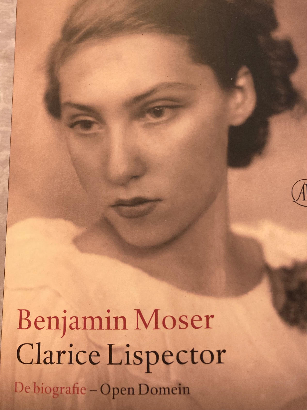 Open domein - Clarice Lispector
