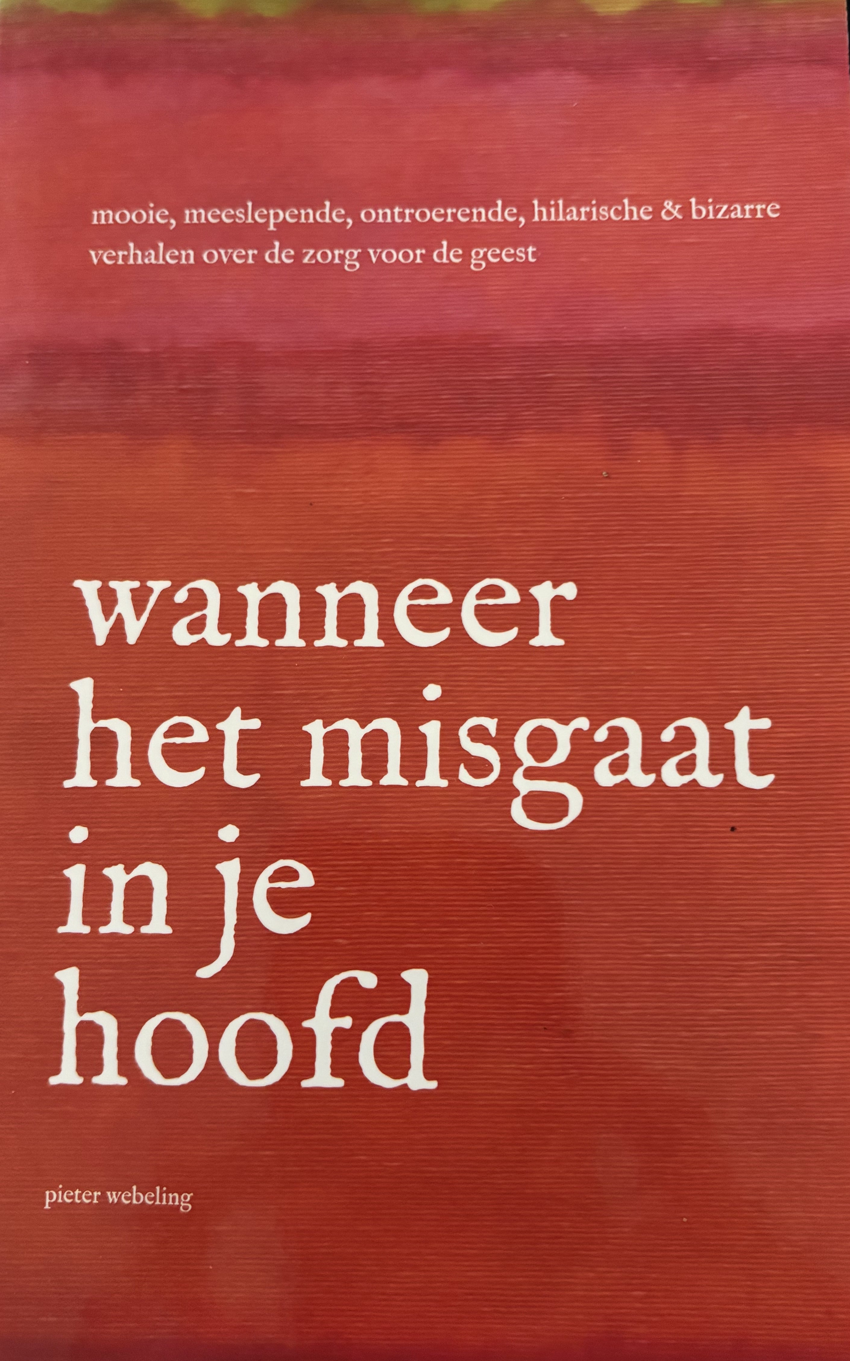 Wanneer het misgaat in je hoofd - Pieter Webeling