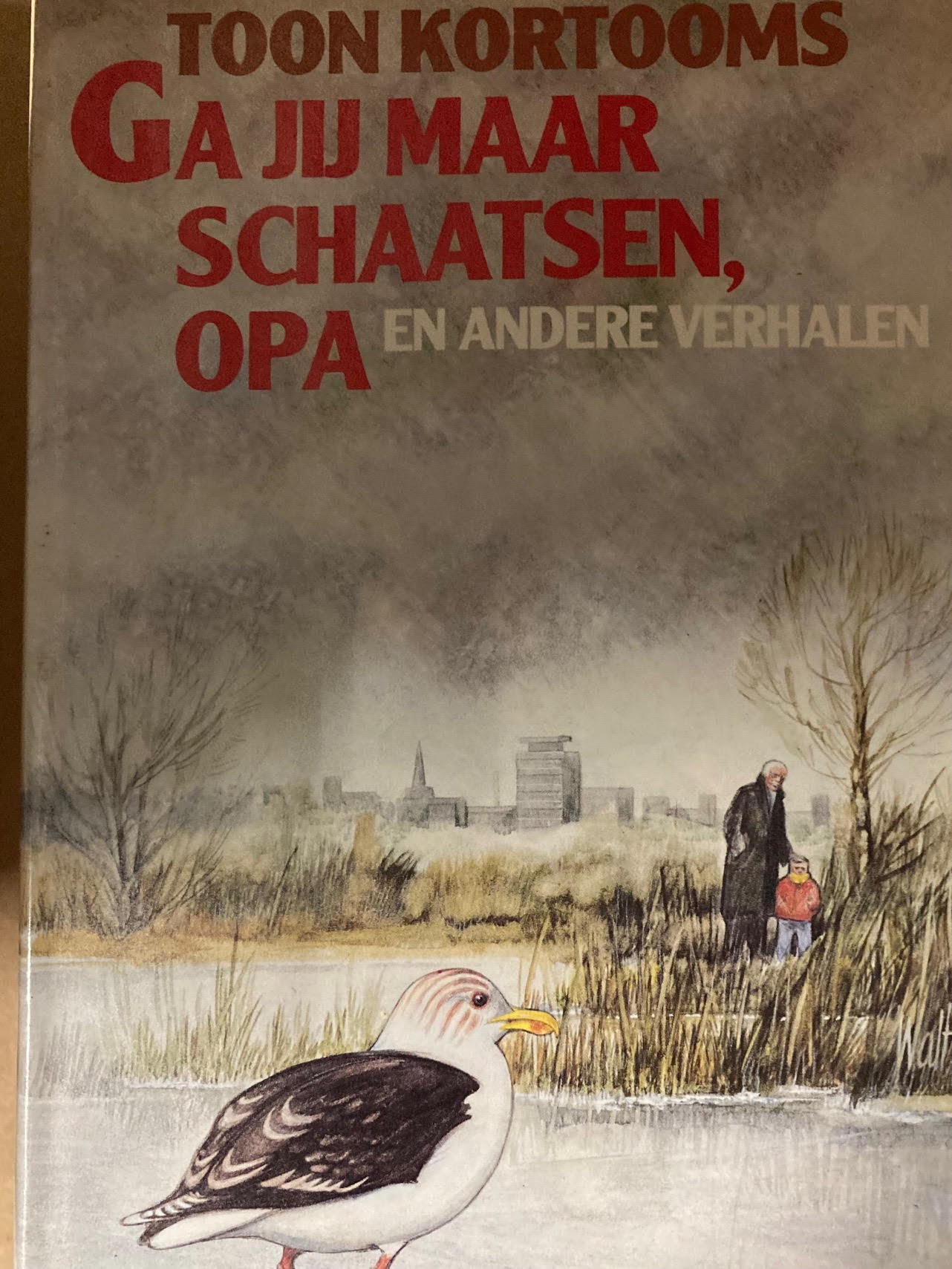 Ga jij maar schaatsen, opa ... en andere verhalen - Toon Kortooms