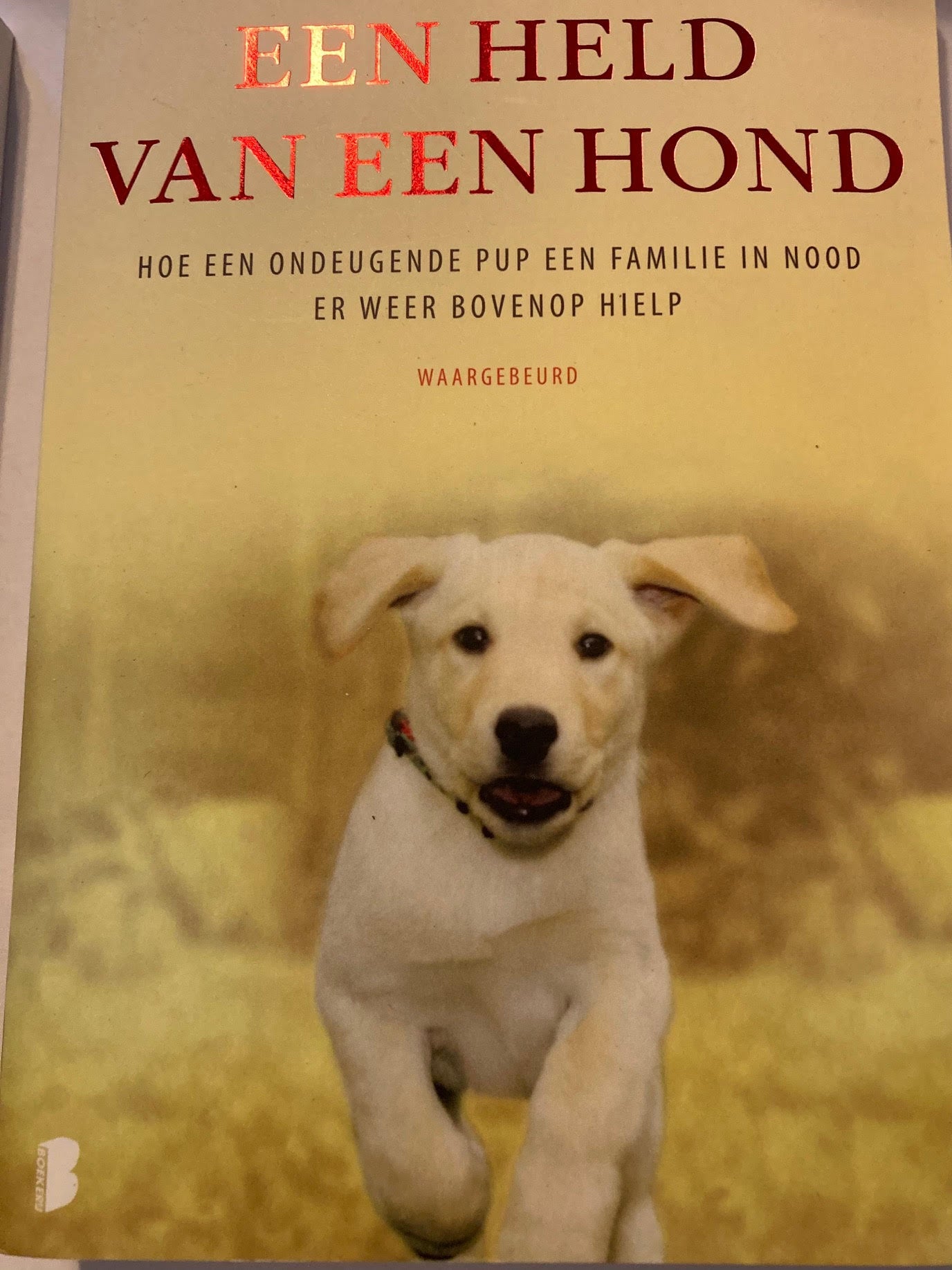 Held van een hond - Allen & Sandra Parton