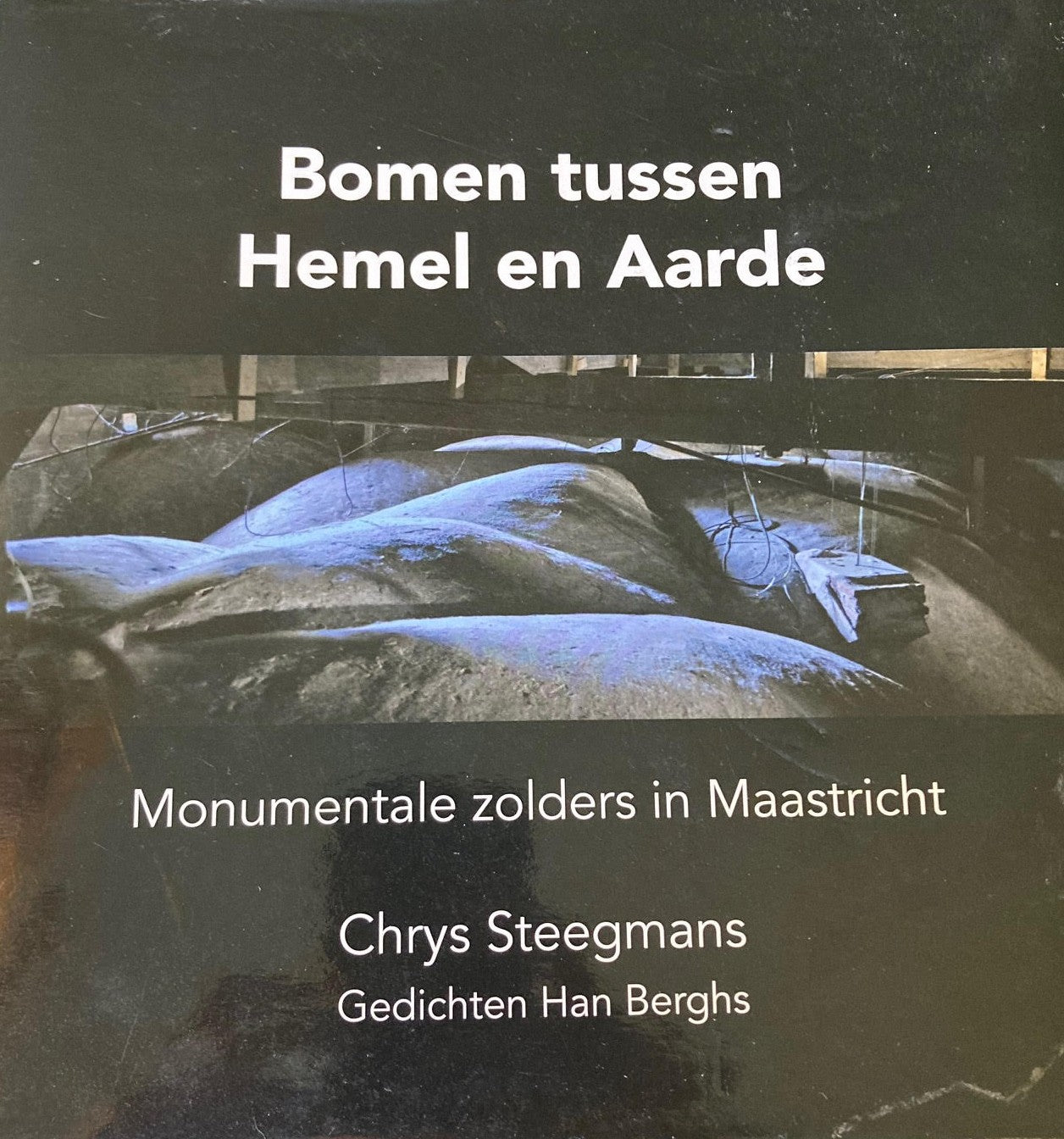 Bomen tussen Hemel en Arde - Monumentale zolders in Maastricht