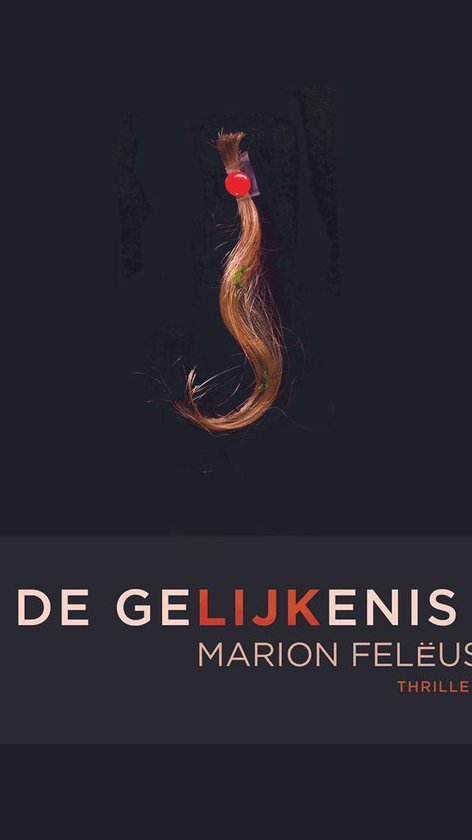 De gelijkenis — boekomslag