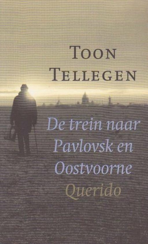 Trein Naar Pavlovsk En Oostvoorne — omslag
