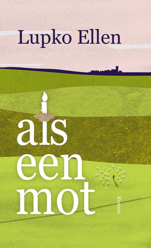Als een mot — boekomslag