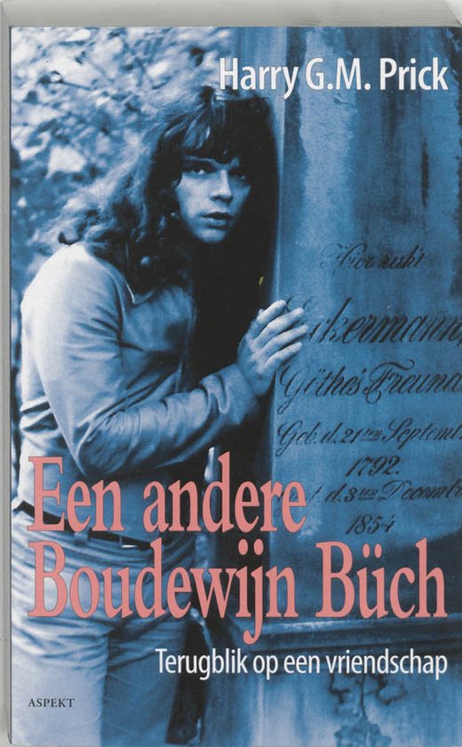 Een andere Boudewijn Buch — boekomslag