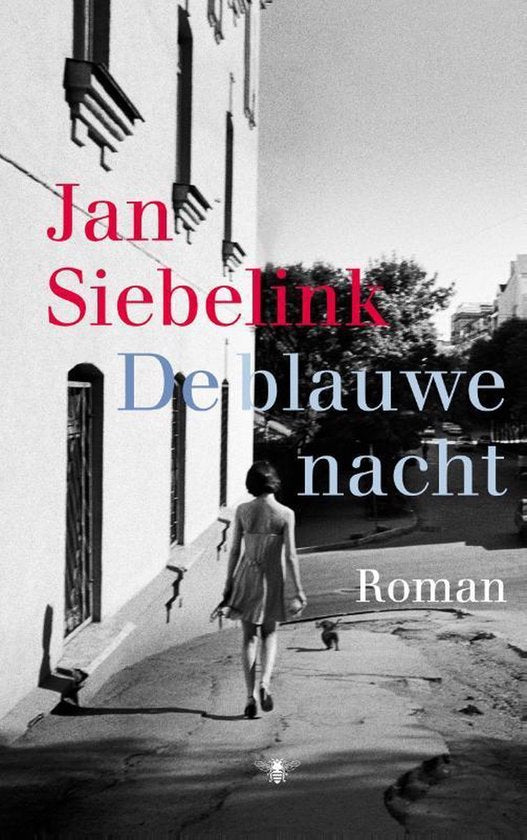 De blauwe nacht — boekomslag
