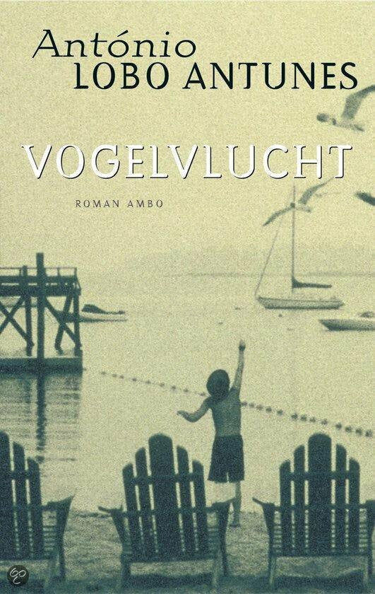 Vogelvlucht — boekomslag
