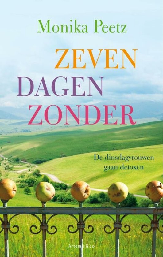 De dinsdagvrouwen 2 - Zeven dagen zonder — boekomslag