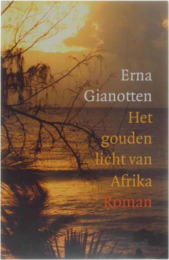 Gouden Licht Van Afrika — boekomslag