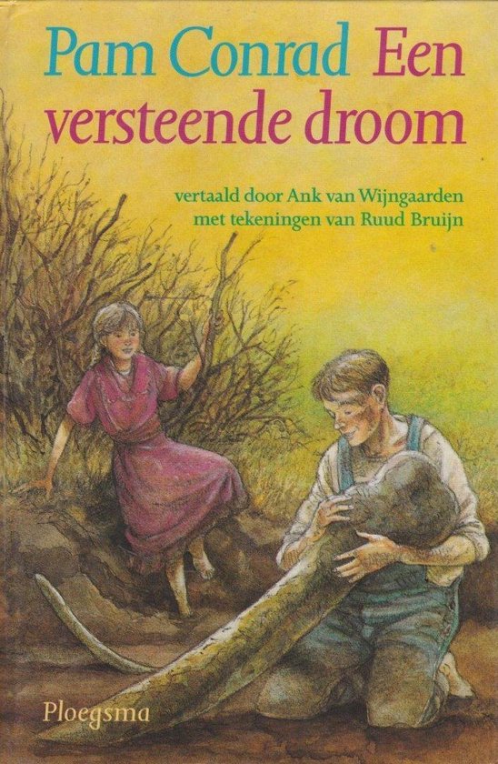 Een versteende droom — boekomslag