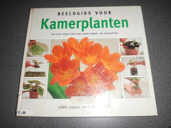BEELDGIDS VOOR KAMERPLANTEN — boekomslag
