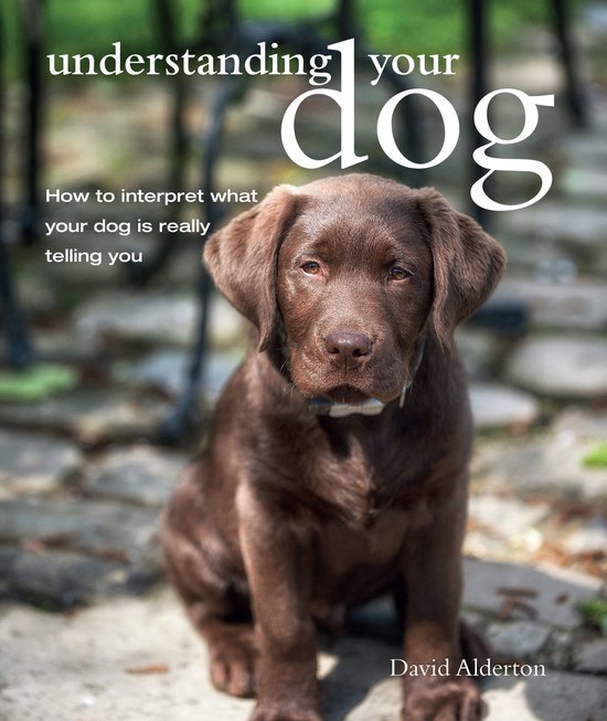 Understanding Your Dog — boekomslag