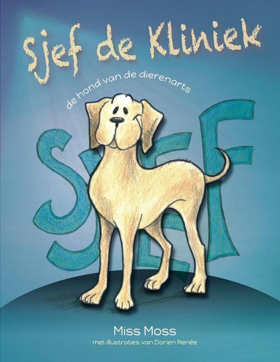 Sjef de Kliniek — boekomslag