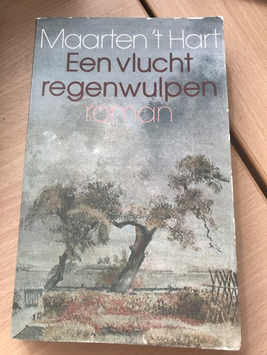 Een vlucht regenwulpen — boekomslag