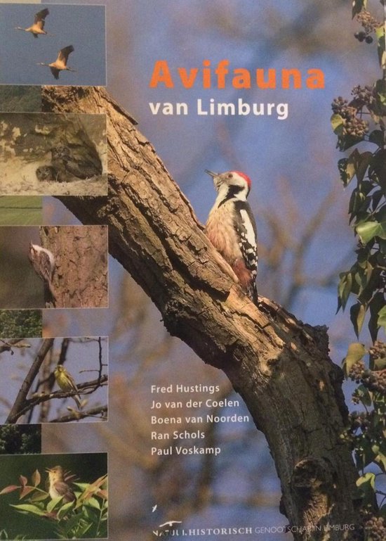 Avifauna Van Limburg — boekomslag