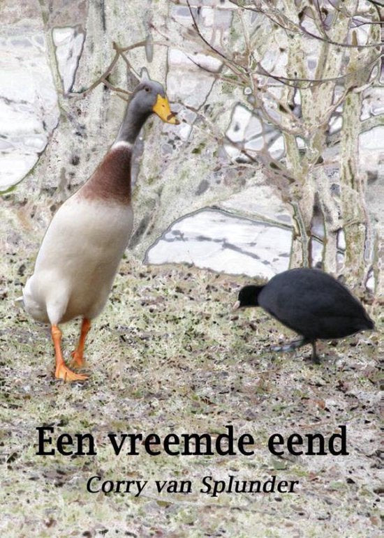 Een vreemde eend — boekomslag