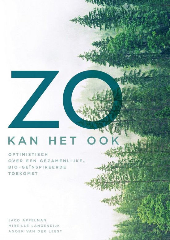 Zo kan het ook — boekomslag