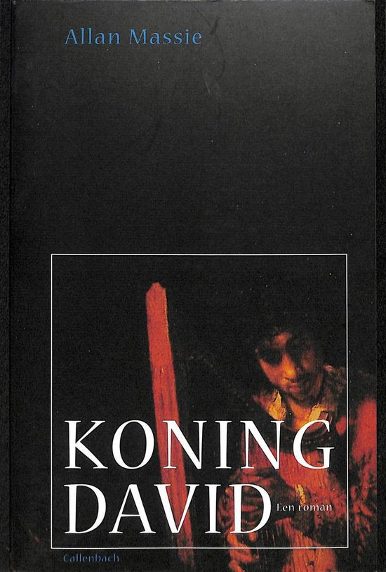 Koning David — boekomslag