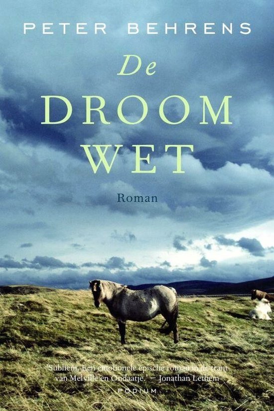 De Droomwet — boekomslag