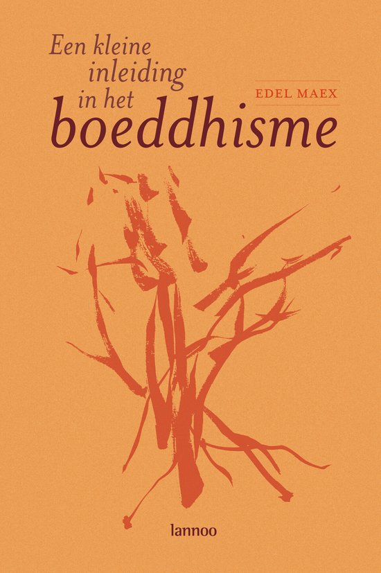 Een kleine inleiding in het boeddhisme — boekomslag