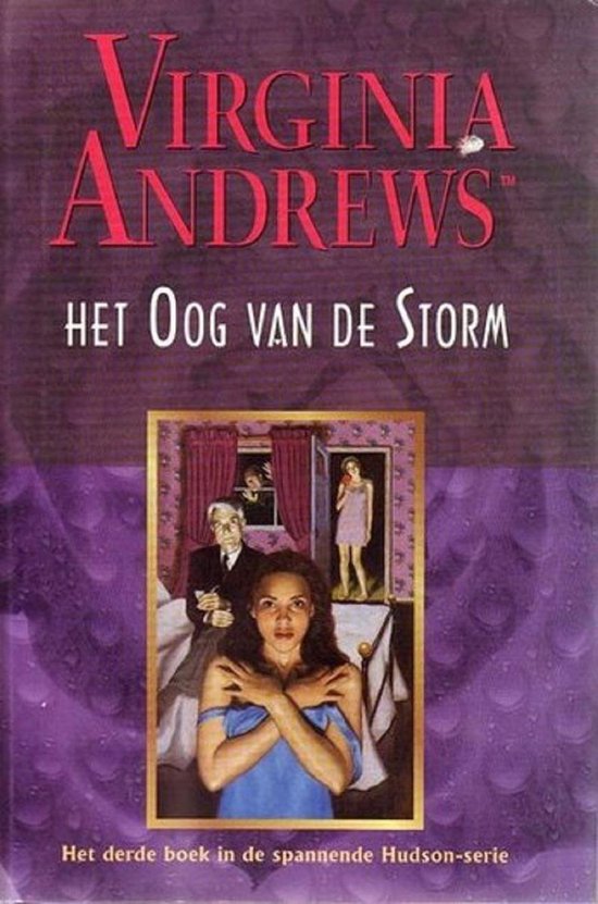 Oog Van De Storm Hudson Dl3 — boekomslag