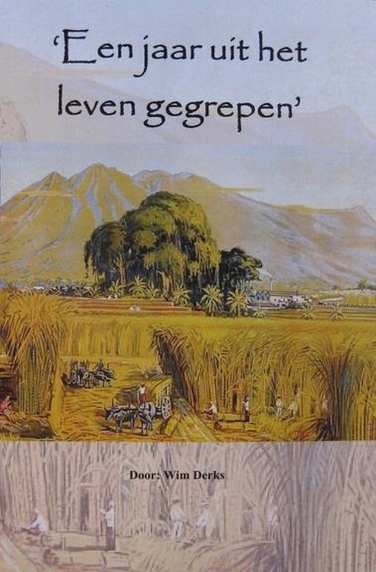 Een jaar uit het leven gegrepen — boekomslag