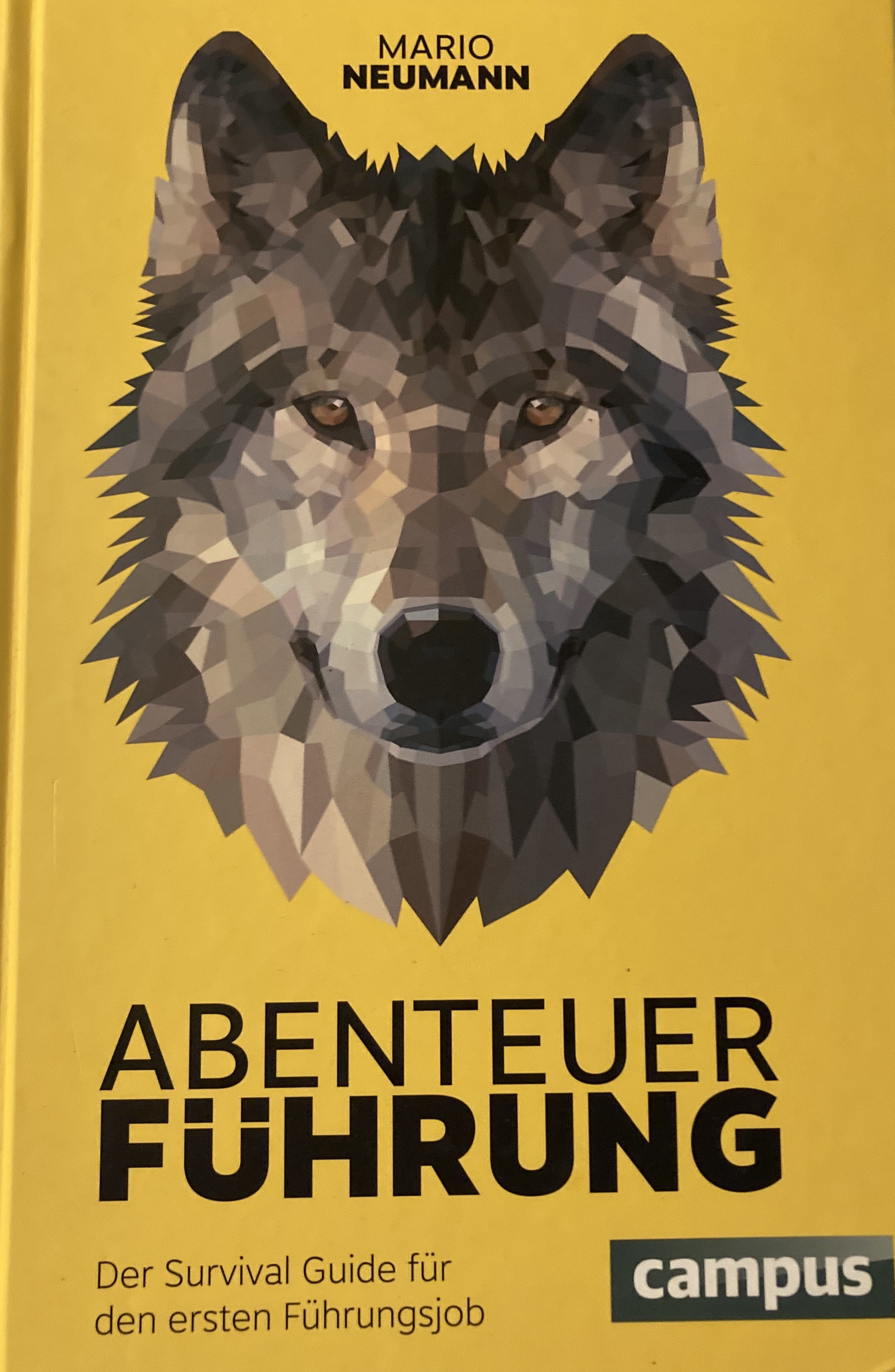 Abenteuer Führung: Der Survival Guide für den ersten Führungsjob - Neumann, Mario