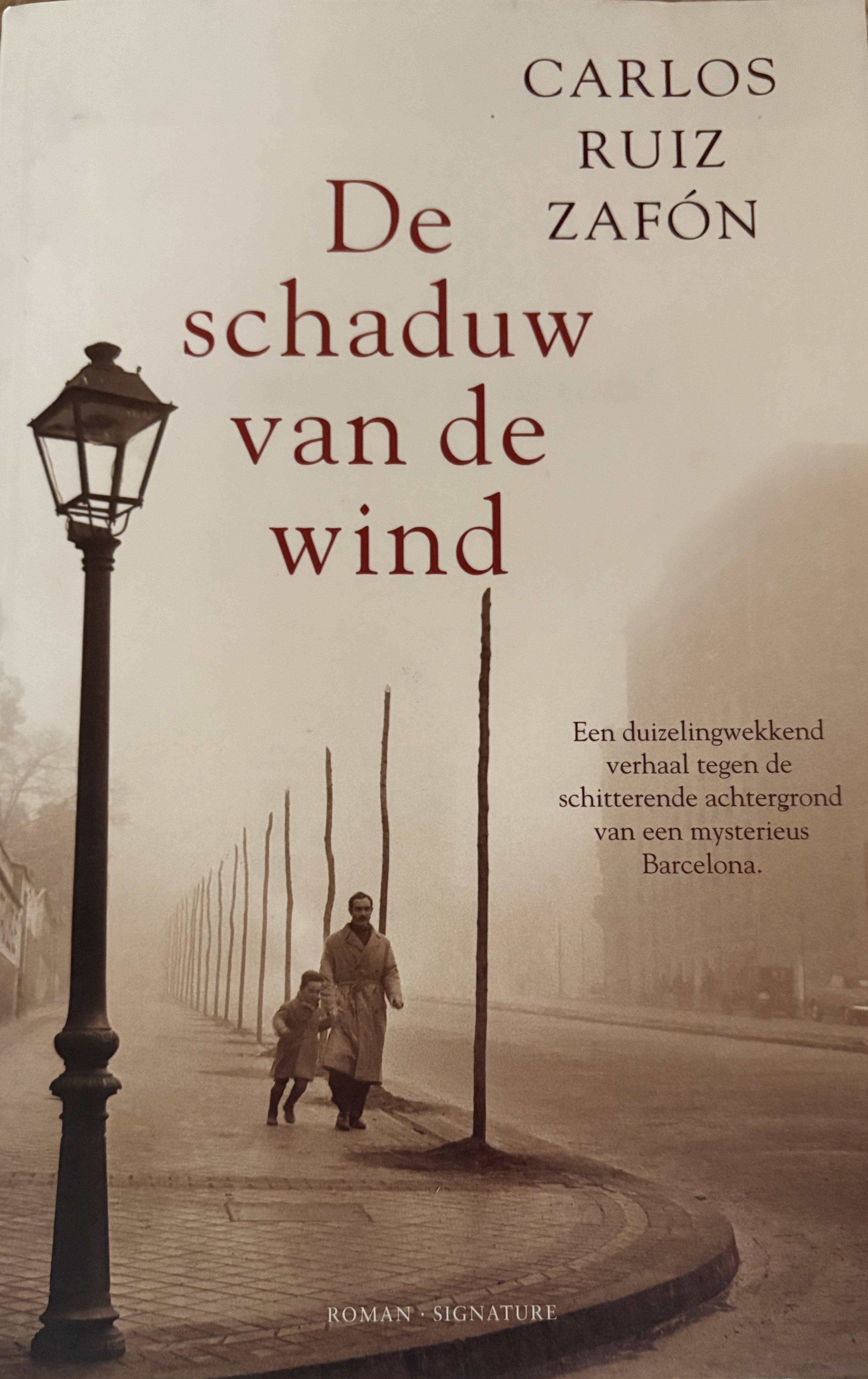 De schaduw van de wind  - Carlos Ruiz Zafon