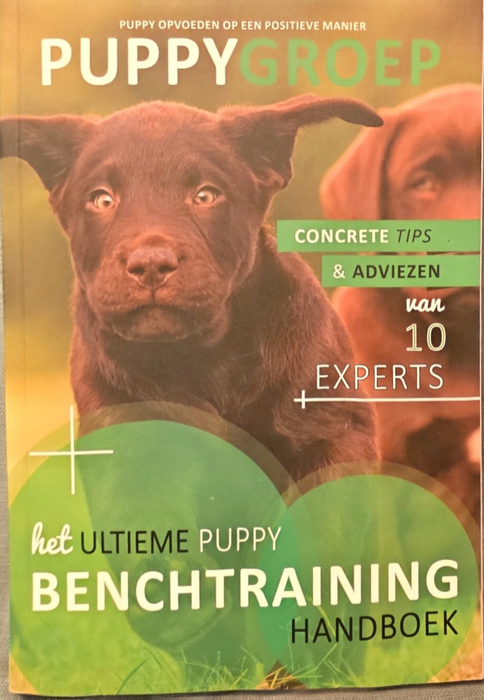 PuppyGroep - Puppy opvoeden op een positieve manier deel 1 t/m 4