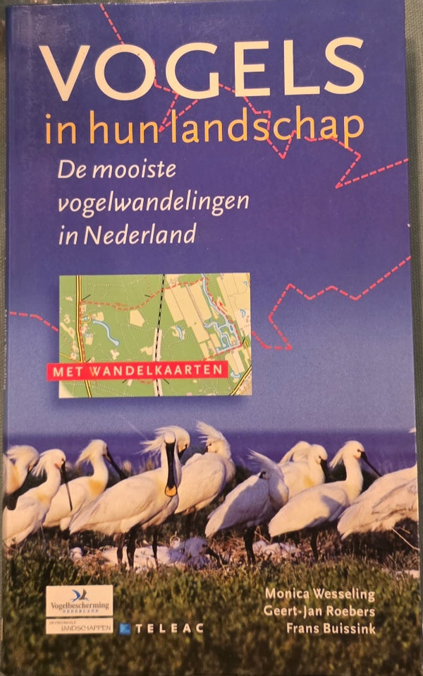 Vogels in hun landschap